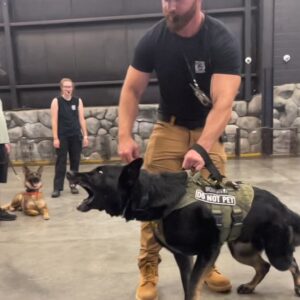 Reactive/Aggression Online Course