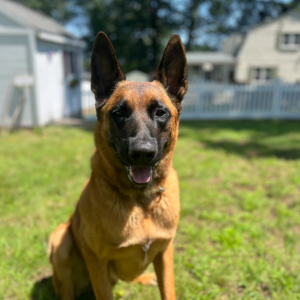 Screenshot 2024-01-09 145115